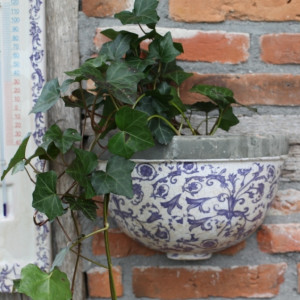Ceramic Wall Planter