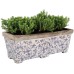 Ceramic Rectangular Planter