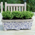 Ceramic Rectangular Planter