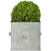 Square Lion Planters (Set Of 2)