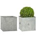 Square Lion Planters (Set Of 2)