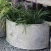 Semicircle Lion Planters (Set Of 2)