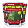 Lawn Seed