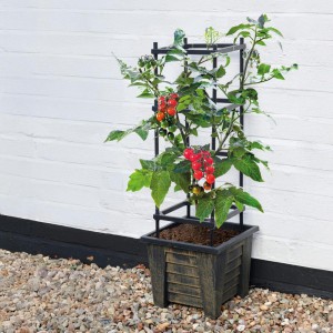 Climbing Frame Planter
