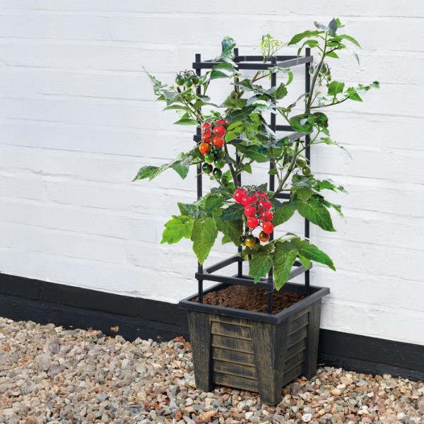 Climbing Frame Planter