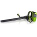 Greenworks 60V Cordless Back Pack Blower (Tool Only)