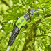 Greenworks 60V 25cm Digipro Cordless Polesaw (Tool Only)