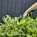 Greenworks 24V Cordless 2-in-1 Grass & Shrub Shear