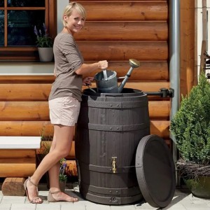 Barrica Rainwater Barrel