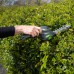 3.6V Lithium-Ion Cordless Shrub Shear & Grass Blades