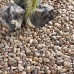 Coastal Pebbles - Bulk Bag