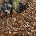 Coastal Pebbles - Bulk Bag