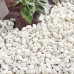 Coral White Pebbles - Bulk Bag