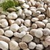 Large Beach Cobbles - Bulk Bag