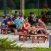 York 8 Seater Round Picnic Bench - Brown