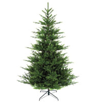 Nordman Fir Christmas Tree 6ft