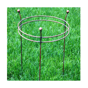 Double Ring Frame (Pack of 2)