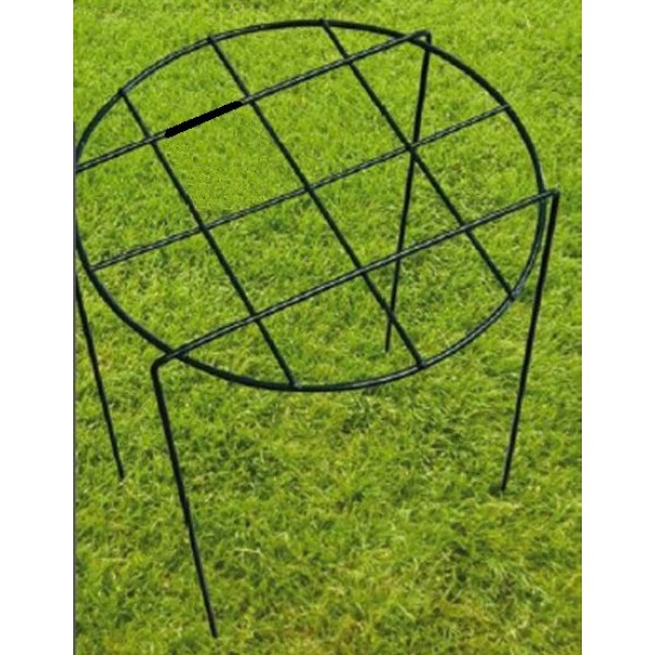 Mesh Ring Plant Support (Pack of 4)