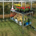 Galvanised Greenhouse Staging Bench