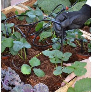 Canopia Drip Irrigation Kit