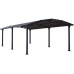 Palram Arcadia 6400 Heavy Duty Carport