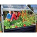 Plant Inn Raised Cold Frame