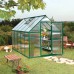 Canopia 6 x 10 Green Mythos Greenhouse