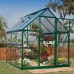 Canopia 6 x 6 Green Hybrid Greenhouse