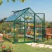 Canopia 6 x 10 Green Hybrid Greenhouse