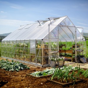 Canopia 10 x 20 Silver Balance Greenhouse