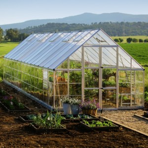 Canopia 10 x 28 Silver Balance Greenhouse