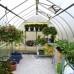 Canopia 8 x 12 Bella Greenhouse