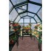 Rion EcoGrow 6 x 10 Greenhouse