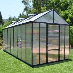 Canopia 8 x 16 Anthracite Glory Greenhouse