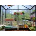 Canopia 8 x 16 Anthracite Glory Greenhouse