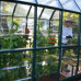 Rion Grand 8 x 8 Greenhouse