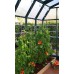 Rion Grand 8 x 8 Greenhouse