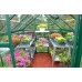 Canopia 6 x 8 Green Harmony Greenhouse