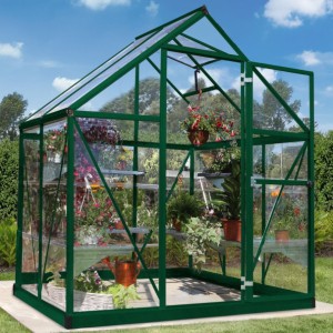 Canopia 6 x 4 Green Harmony Greenhouse