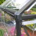 Canopia 6 x 6 Grey Harmony Greenhouse