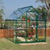 Canopia 6 x 8 Green Harmony Greenhouse