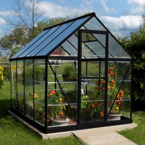 Canopia 6 x 8 Black Hybrid Greenhouse