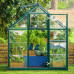 Canopia 6 x 8 Green Hybrid Greenhouse