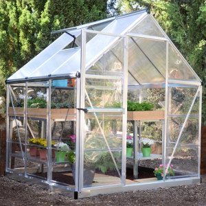 Canopia 6 x 6 Silver Hybrid Greenhouse