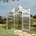 Canopia 6 x 8 Silver Mythos Greenhouse