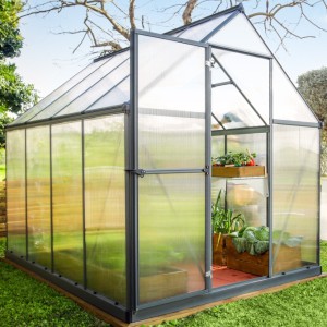 Canopia 6 x 8 Grey Mythos Greenhouse