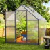 Canopia 6 x 8 Grey Mythos Greenhouse