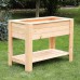 Dan Larch Planter