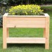Dan Larch Planter