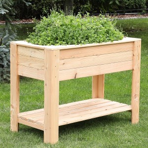 Dan Larch Planter